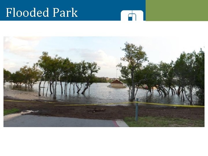 Flooded Park 