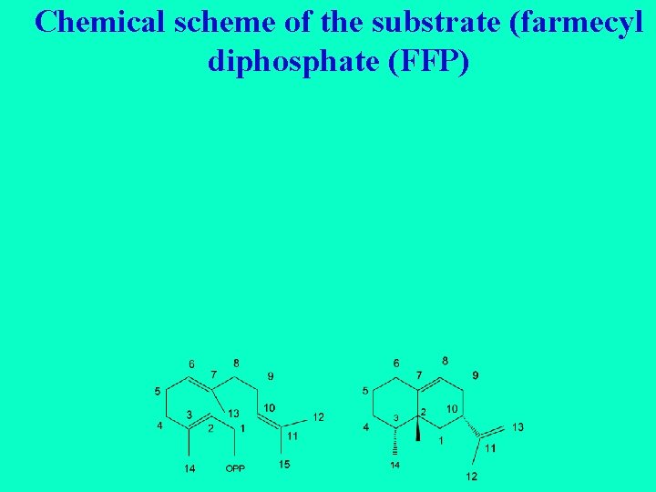 Chemical scheme of the substrate (farmecyl diphosphate (FFP) 