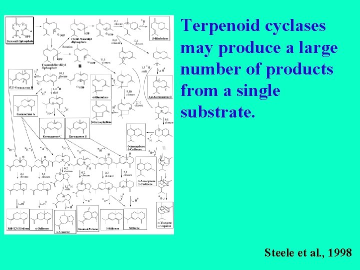 Terpenoid cyclases may produce a large number of products from a single substrate. Steele