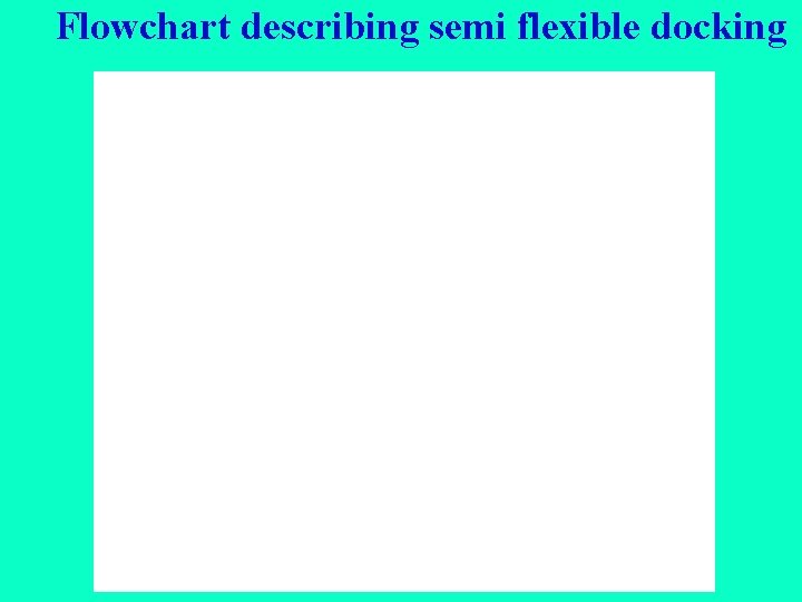 Flowchart describing semi flexible docking 
