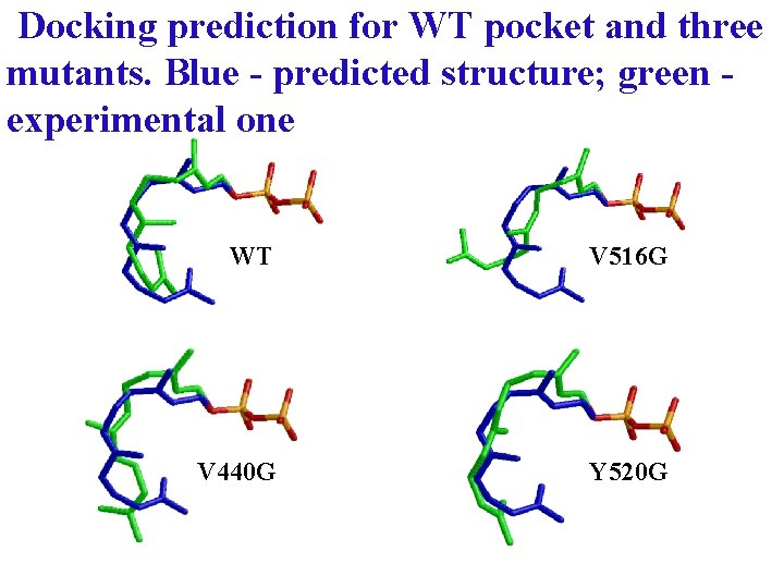 Docking prediction for WT pocket and three mutants. Blue - predicted structure; green experimental