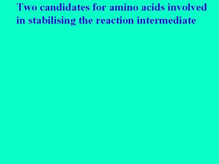 Two candidates for amino acids involved in stabilising the reaction intermediate 