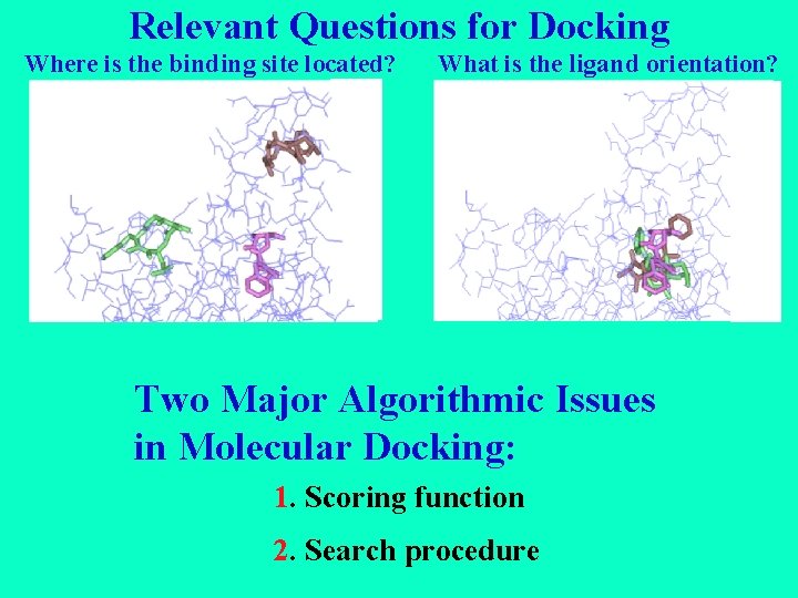 Relevant Questions for Docking Where is the binding site located? What is the ligand
