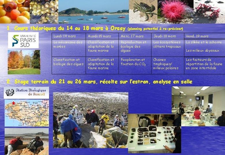 1. Cours théoriques du 14 au 18 mars à Orsay (planning potentiel à re-préciser)