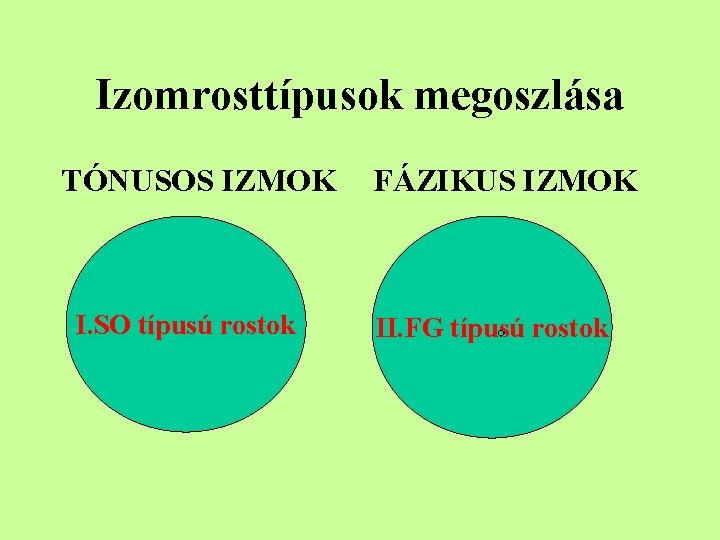 Izomrosttípusok megoszlása TÓNUSOS IZMOK I. SO típusú rostok FÁZIKUS IZMOK II. FG típusú rostok