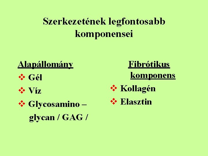 Szerkezetének legfontosabb komponensei Alapállomány v Gél v Víz v Glycosamino – glycan / GAG