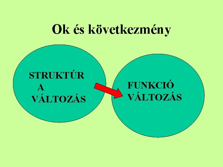 Ok és következmény STRUKTÚR A VÁLTOZÁS FUNKCIÓ VÁLTOZÁS 