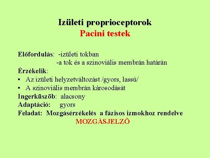 Izületi proprioceptorok Pacini testek Előfordulás: -izületi tokban -a tok és a szinoviális membrán határán