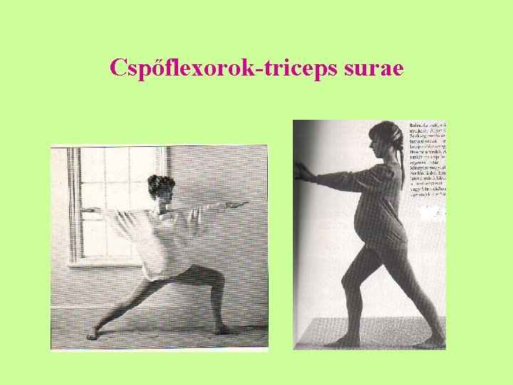 Cspőflexorok-triceps surae 