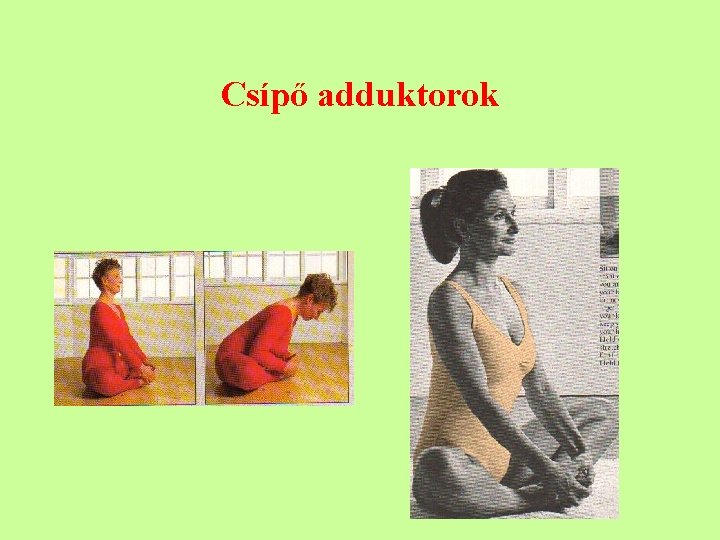 Csípő adduktorok 