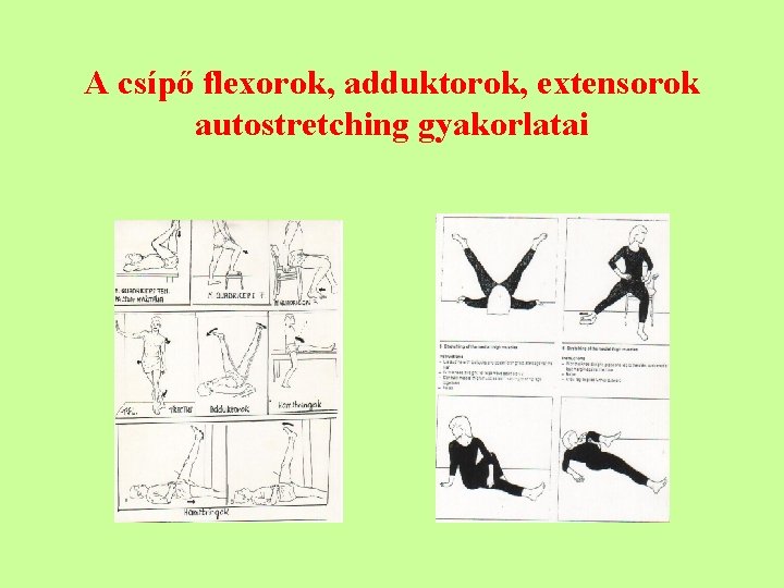 A csípő flexorok, adduktorok, extensorok autostretching gyakorlatai 
