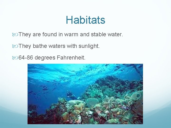 Habitats They are found in warm and stable water. They bathe waters with sunlight.