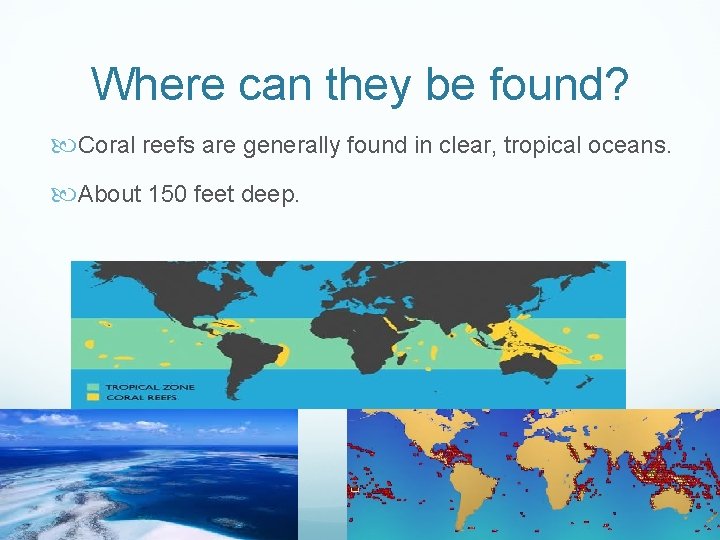 Where can they be found? Coral reefs are generally found in clear, tropical oceans.