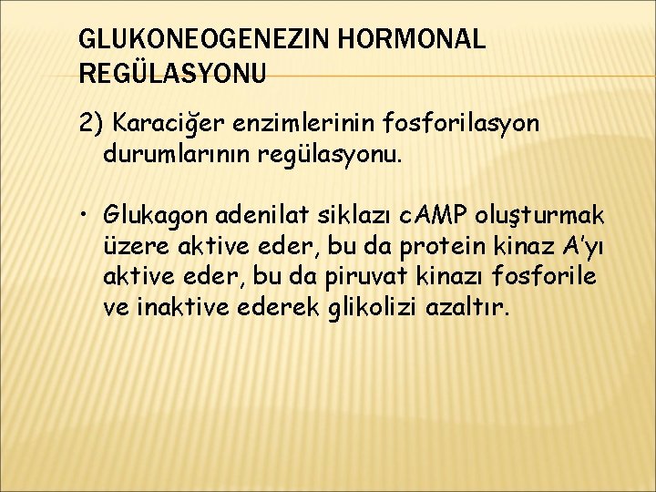 GLUKONEOGENEZIN HORMONAL REGÜLASYONU 2) Karaciğer enzimlerinin fosforilasyon durumlarının regülasyonu. • Glukagon adenilat siklazı c.