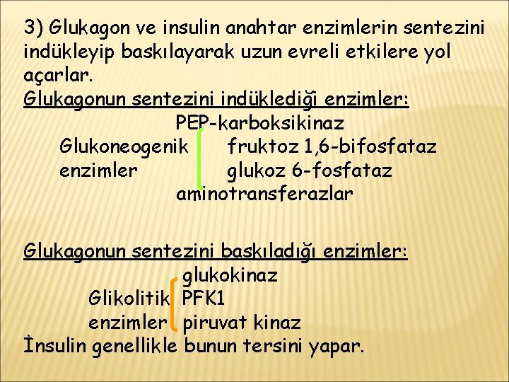 3) Glukagon ve insulin anahtar enzimlerin sentezini indükleyip baskılayarak uzun evreli etkilere yol açarlar.