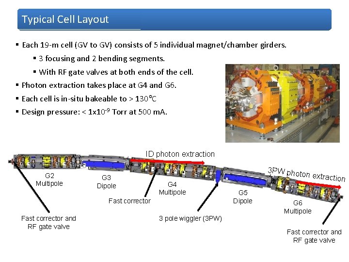 Typical Cell Layout § Each 19 -m cell (GV to GV) consists of 5