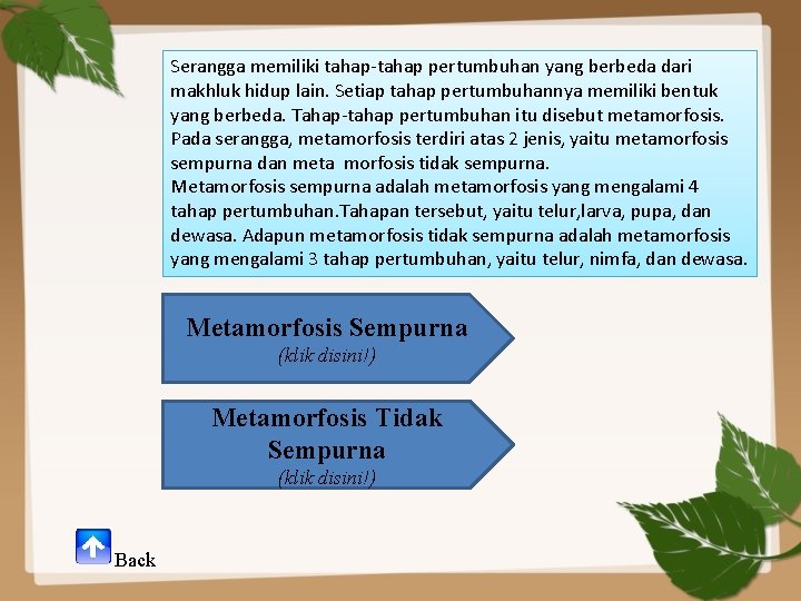 Serangga memiliki tahap-tahap pertumbuhan yang berbeda dari makhluk hidup lain. Setiap tahap pertumbuhannya memiliki