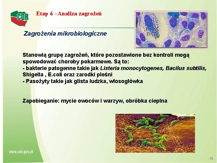 Etap 6 –Analiza zagrożeń Zagrożenia mikrobiologiczne Stanowią grupę zagrożeń, które pozostawione bez kontroli mogą