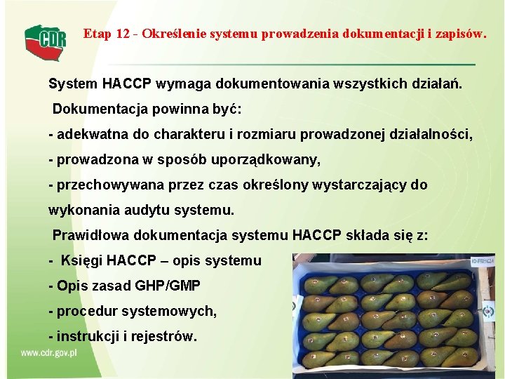 Etap 12 - Określenie systemu prowadzenia dokumentacji i zapisów. System HACCP wymaga dokumentowania wszystkich