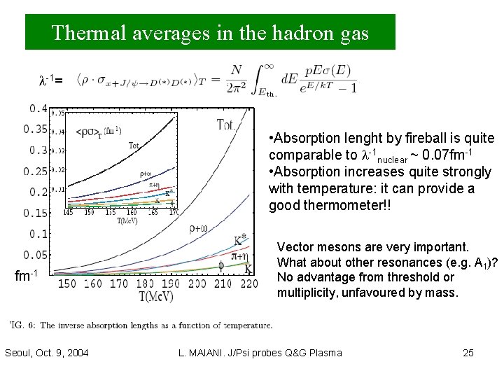 Thermal averages in the hadron gas l-1= • Absorption lenght by fireball is quite