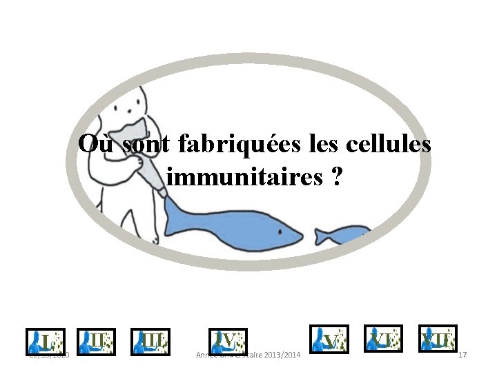 Où sont fabriquées les cellules immunitaires ? I. 28/10/2020 II. IV. Année Universitaire 2013/2014