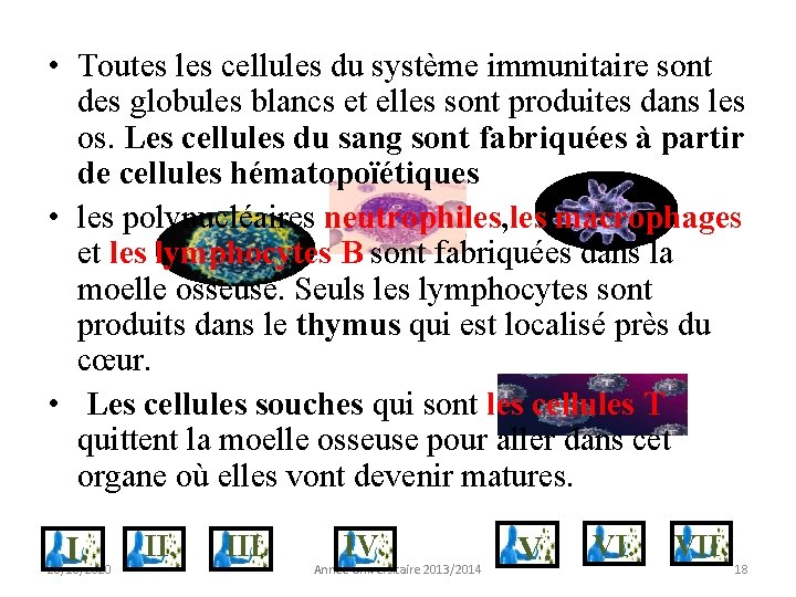  • Toutes les cellules du système immunitaire sont des globules blancs et elles