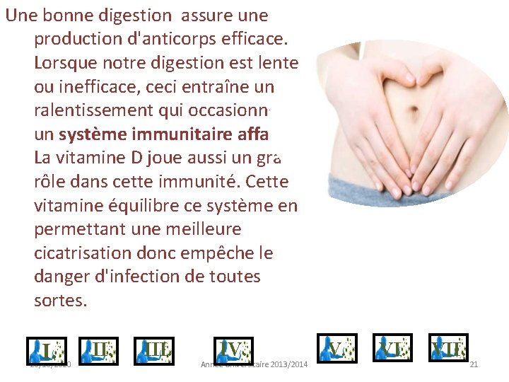 Une bonne digestion assure une production d'anticorps efficace. Lorsque notre digestion est lente ou