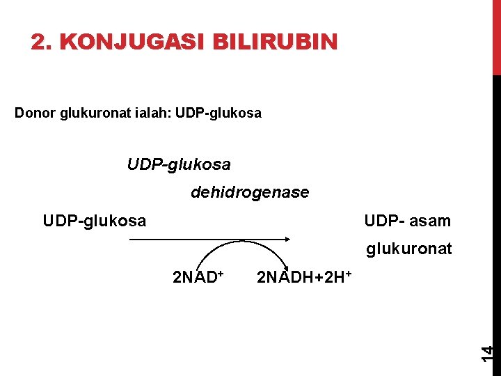 2. KONJUGASI BILIRUBIN Donor glukuronat ialah: UDP-glukosa dehidrogenase UDP-glukosa UDP- asam glukuronat 2 NADH+2