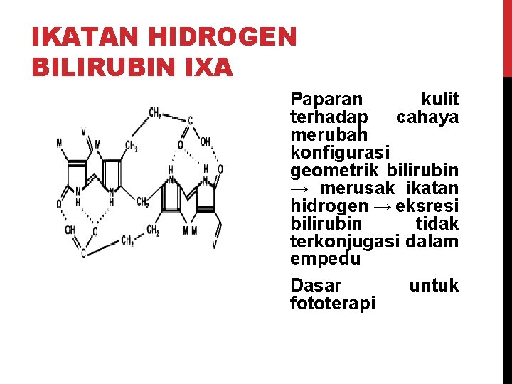 IKATAN HIDROGEN BILIRUBIN IXΑ Paparan kulit terhadap cahaya merubah konfigurasi geometrik bilirubin → merusak