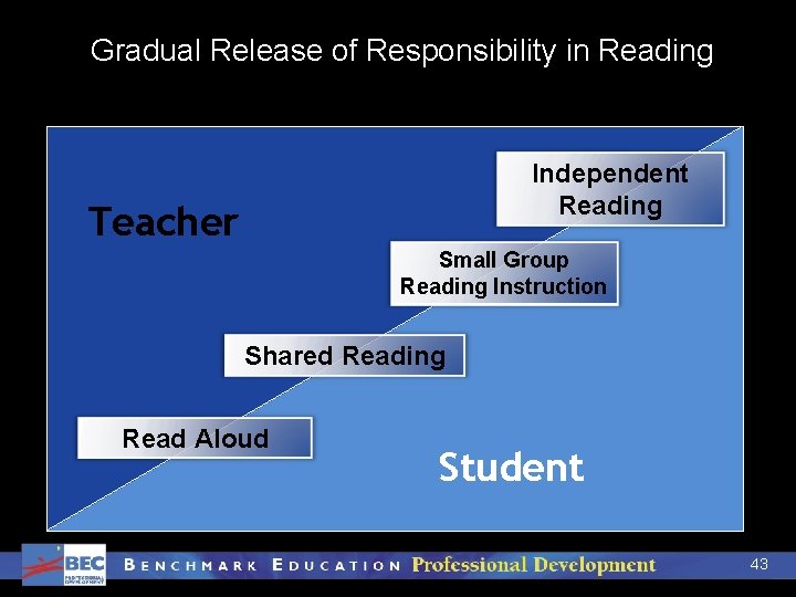 Gradual Release of Responsibility in Reading Independent Reading Teacher Small Group Reading Instruction Shared