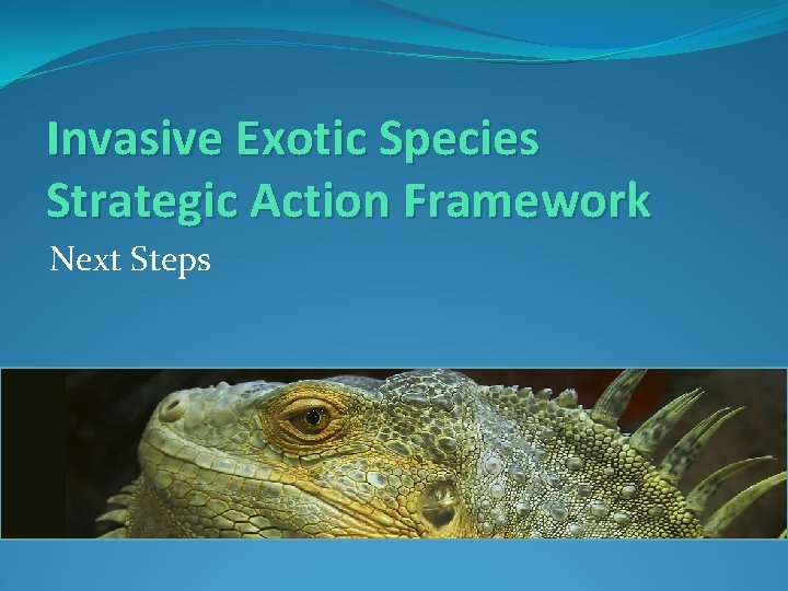 Invasive Exotic Species Strategic Action Framework Next Steps 