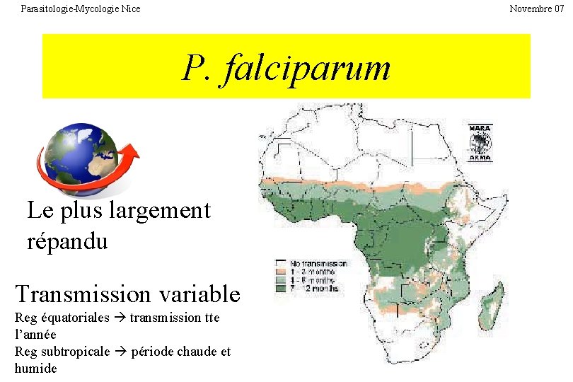 Parasitologie-Mycologie Nice Novembre 07 P. falciparum Le plus largement répandu Transmission variable Reg équatoriales