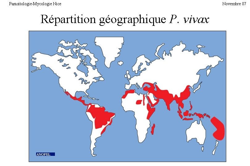 Parasitologie-Mycologie Nice Répartition géographique P. vivax Novembre 07 