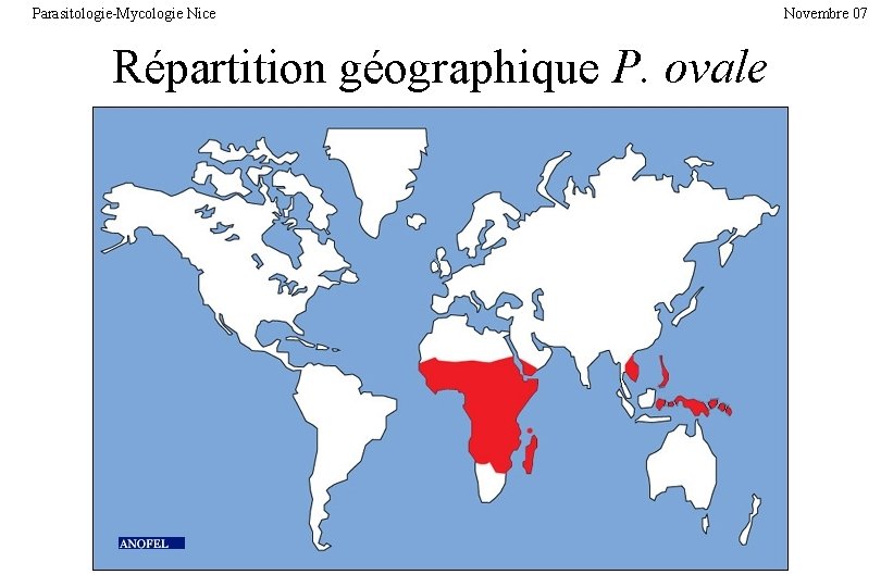 Parasitologie-Mycologie Nice Répartition géographique P. ovale Novembre 07 