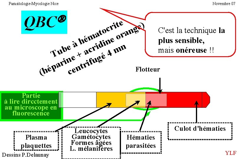 Parasitologie-Mycologie Nice Novembre 07 QBC e t ) i e r g c C'est