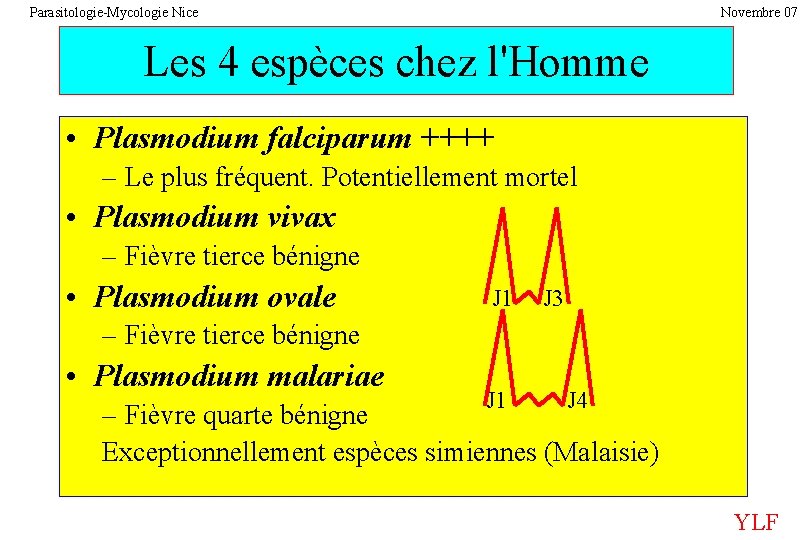 Parasitologie-Mycologie Nice Novembre 07 Les 4 espèces chez l'Homme • Plasmodium falciparum ++++ –