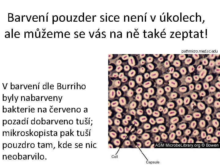 Barvení pouzder sice není v úkolech, ale můžeme se vás na ně také zeptat!