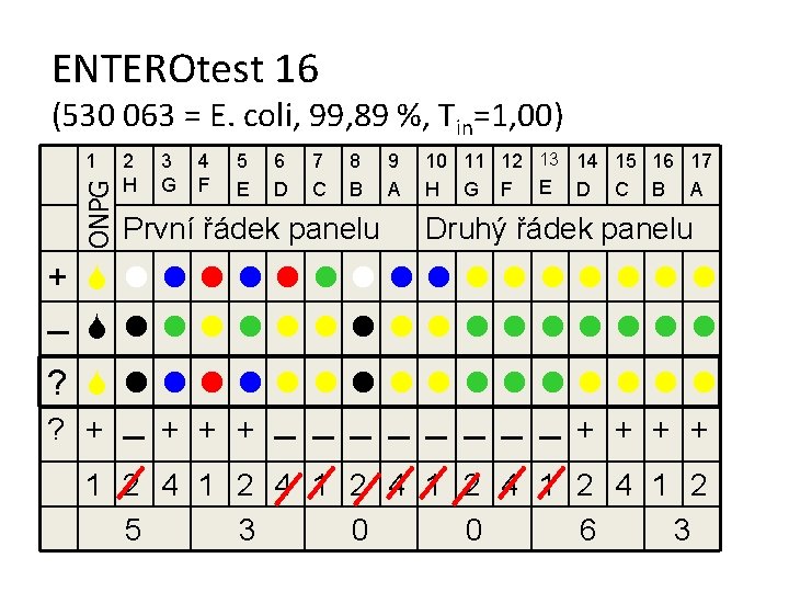 ENTEROtest 16 (530 063 = E. coli, 99, 89 %, Tin=1, 00) ONPG 1