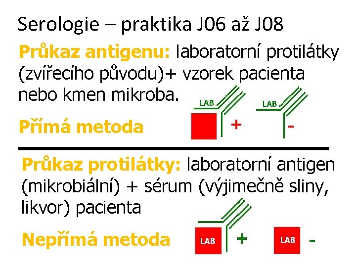 Serologie – praktika J 06 až J 08 Průkaz antigenu: laboratorní protilátky (zvířecího původu)+