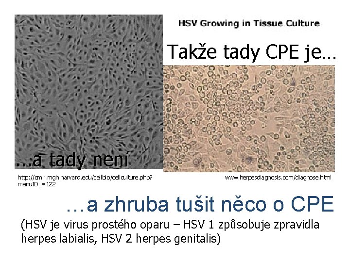 Takže tady CPE je… . . . a tady není http: //cmir. mgh. harvard.