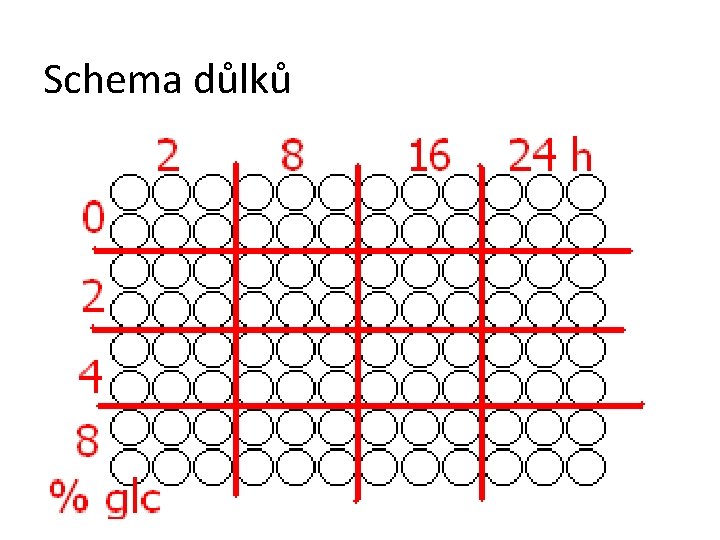 Schema důlků 