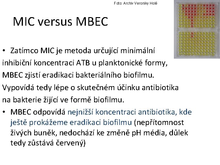 Foto: Archiv Veroniky Holé MIC versus MBEC • Zatímco MIC je metoda určující minimální