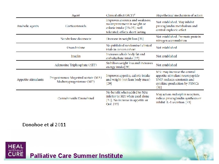 Donohoe et al 2011 Palliative Care Summer Institute 