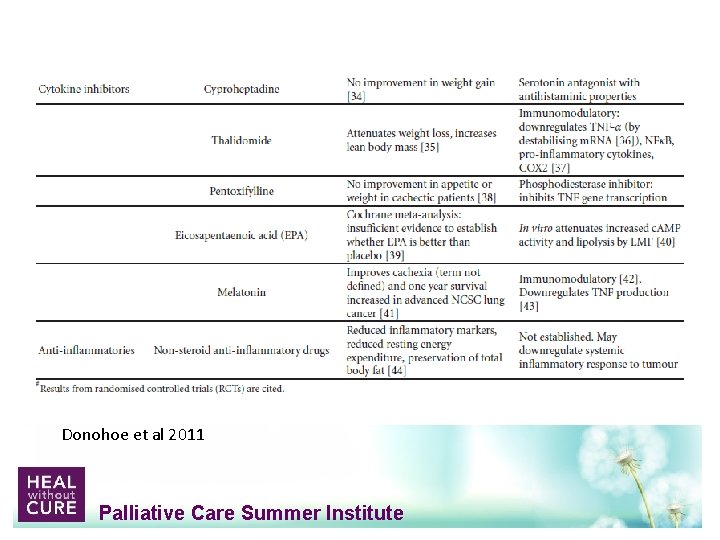 Donohoe et al 2011 Palliative Care Summer Institute 