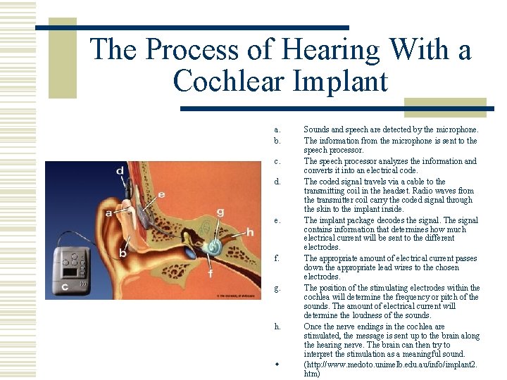 The Process of Hearing With a Cochlear Implant a. b. c. d. e. f.