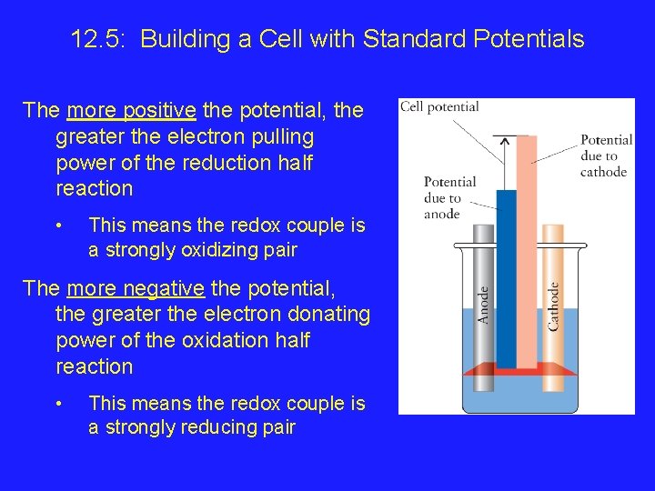 12. 5: Building a Cell with Standard Potentials The more positive the potential, the