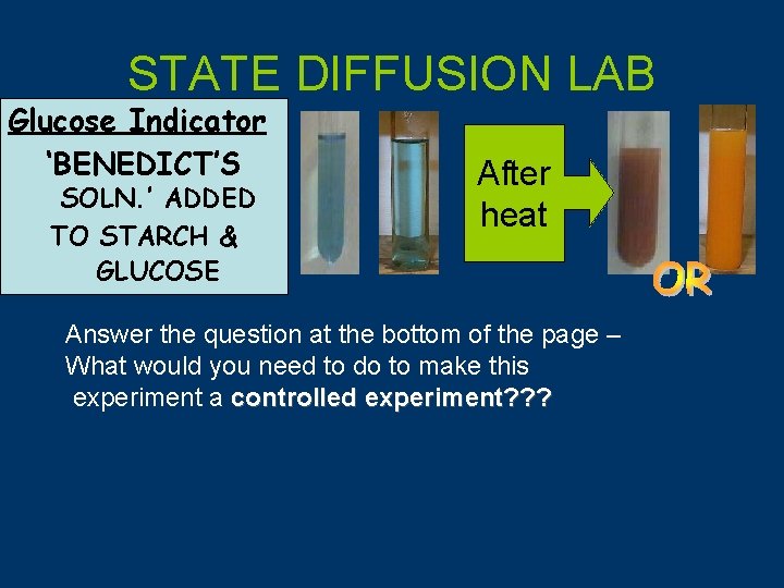 STATE DIFFUSION LAB Glucose Indicator ‘BENEDICT’S SOLN. ’ ADDED TO STARCH & GLUCOSE After