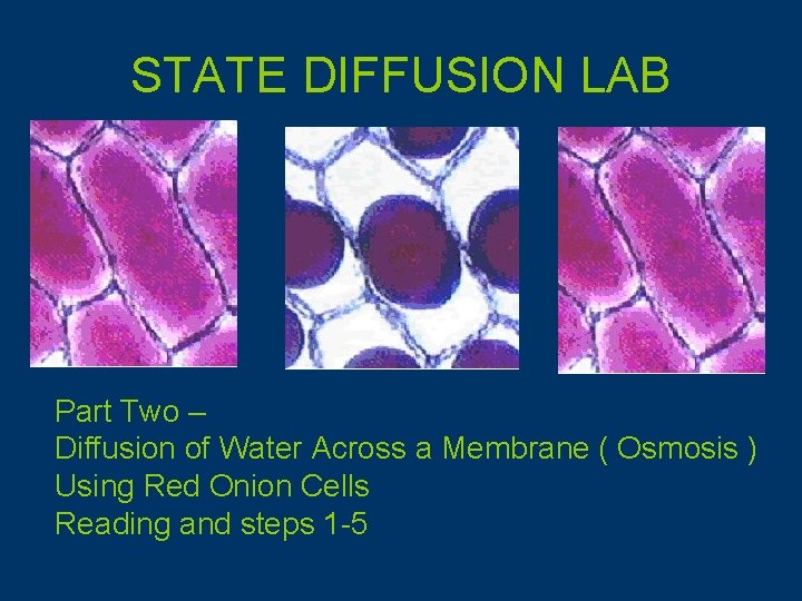 STATE DIFFUSION LAB Part Two – Diffusion of Water Across a Membrane ( Osmosis