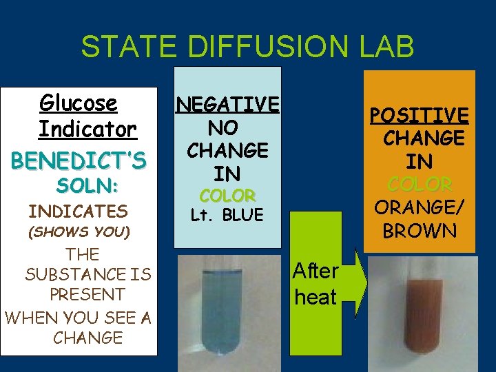 STATE DIFFUSION LAB Glucose Indicator BENEDICT’S SOLN: INDICATES (SHOWS YOU) THE SUBSTANCE IS PRESENT