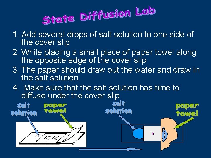 1. Add several drops of salt solution to one side of the cover slip
